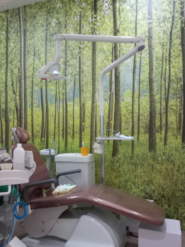 SoftTouch Dental Clinic - Nature Themed Wallpapers